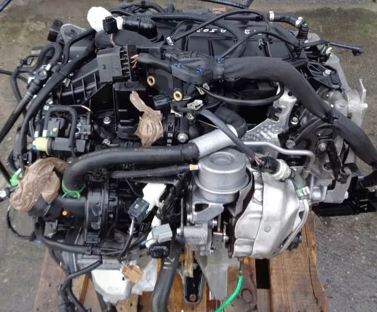 Mercedes Vito: Jaki silnik wybrać? W639 vs W447 ekspert radzi